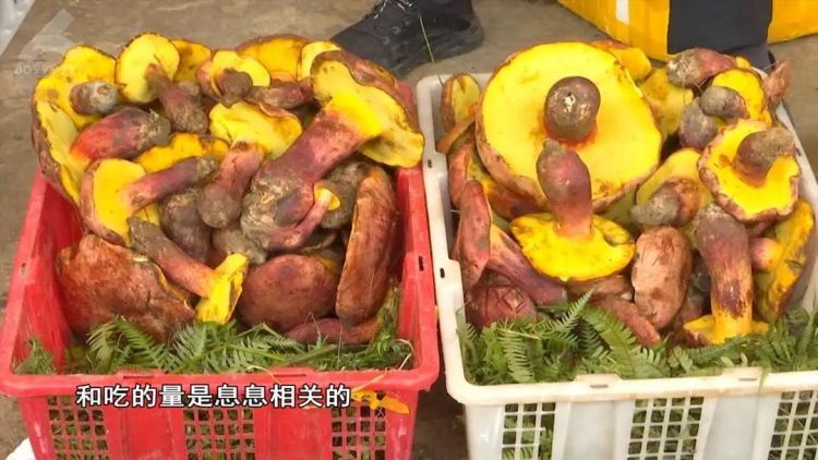 警惕!云南一医院今年已收治近400例病例!医生提醒! 警惕!云南一医院今年已收治近400例病例!医生提醒!