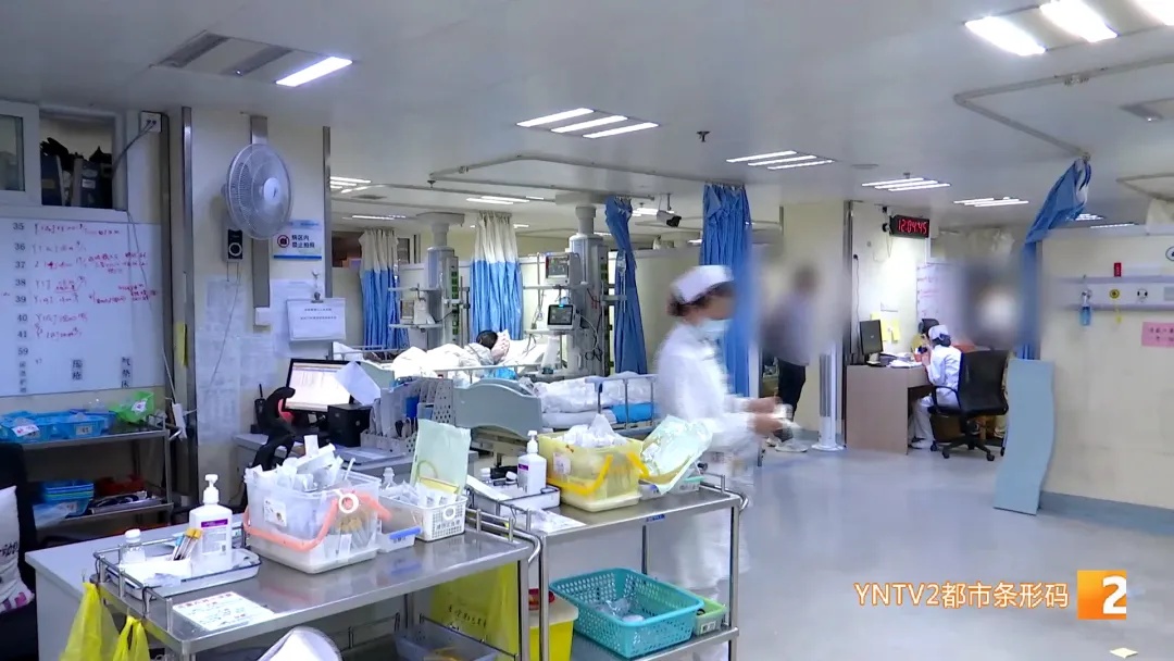 毒过砒霜!昆明一男子生吃它,中毒休克!千万别碰! 毒过砒霜!昆明一男子生吃它,中毒休克!千万别碰!