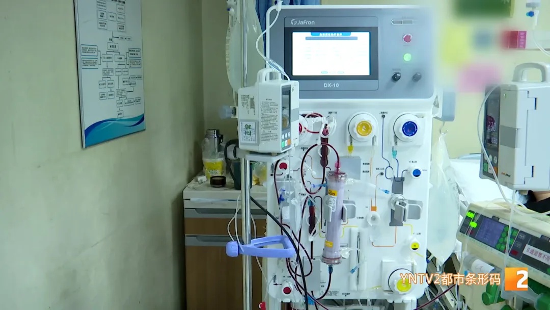 毒过砒霜!昆明一男子生吃它,中毒休克!千万别碰! 毒过砒霜!昆明一男子生吃它,中毒休克!千万别碰!