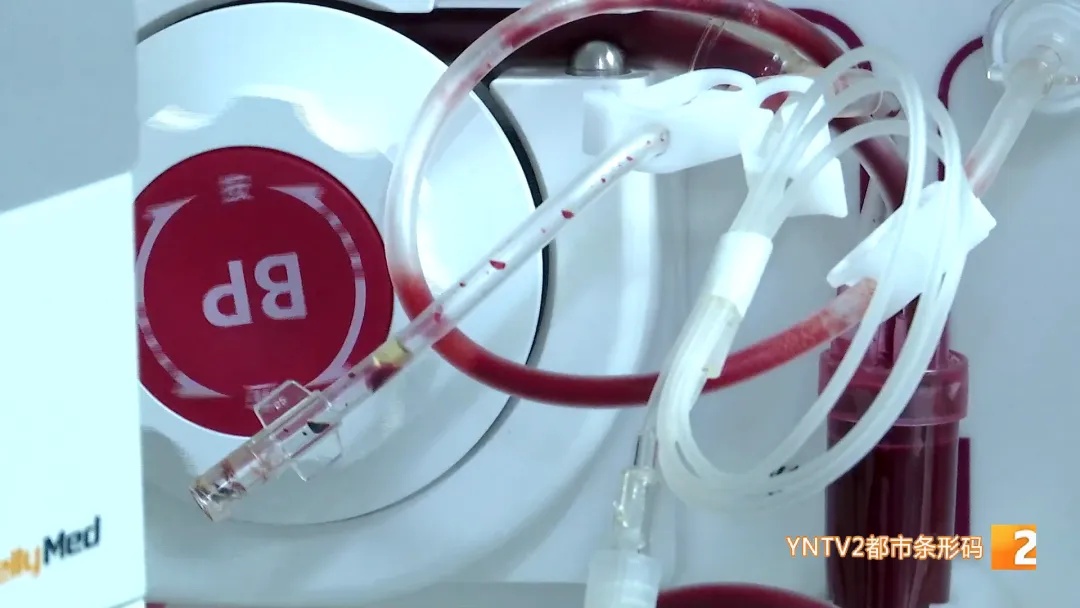 毒过砒霜!昆明一男子生吃它,中毒休克!千万别碰! 毒过砒霜!昆明一男子生吃它,中毒休克!千万别碰!