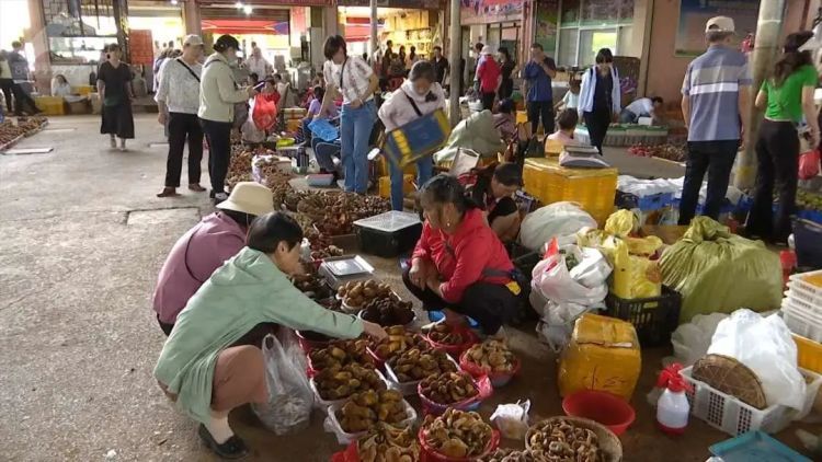 警惕!云南一医院今年已收治近400例病例!医生提醒! 警惕!云南一医院今年已收治近400例病例!医生提醒!