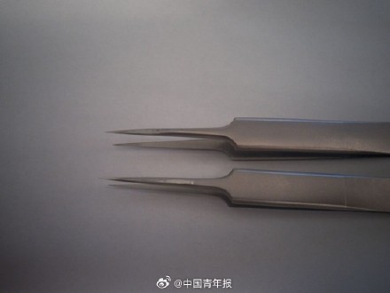 发现新物种的他抽屉藏过数万蚂蚁