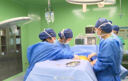 取名“舟舟”！海军“和平方舟”号医院船再迎新生命