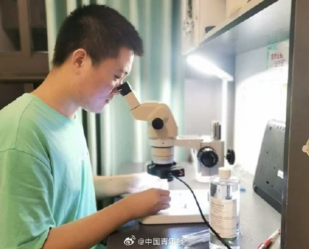 发现新物种的他抽屉藏过数万蚂蚁