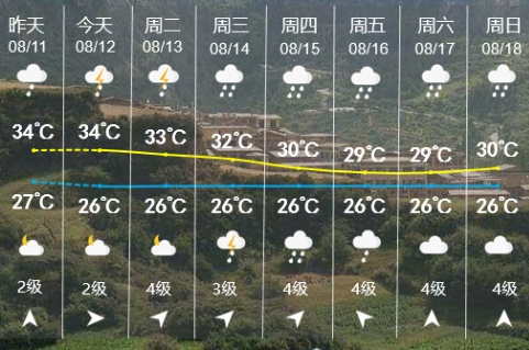 厦门雷电黄色预警！警惕强对流来袭！第6号台风生成……