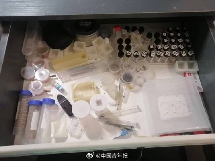 发现新物种的他抽屉藏过数万蚂蚁