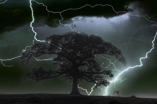 遭遇雷电天气怎么办？收好这份避险指南→