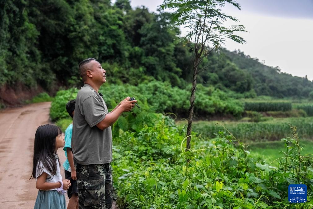 北上南归明星象群“短鼻家族”持续壮大