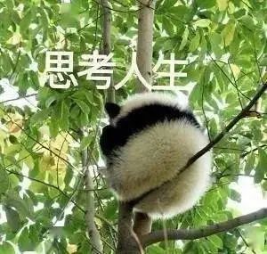 厦门雷电黄色预警！警惕强对流来袭！第6号台风生成……