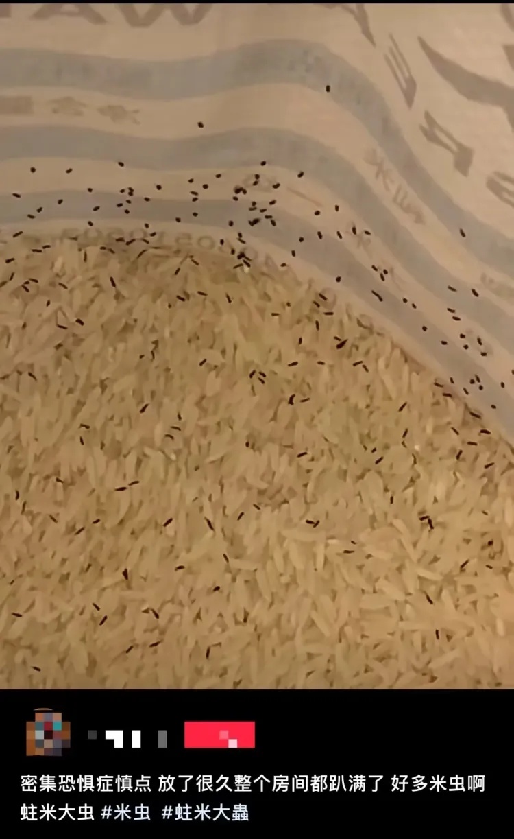 超肉麻!打开一看,全是!杭州女子恶心坏了,网友:我家也有! 超肉麻!打开一看,全是!杭州女子恶心坏了,网友:我家也有!