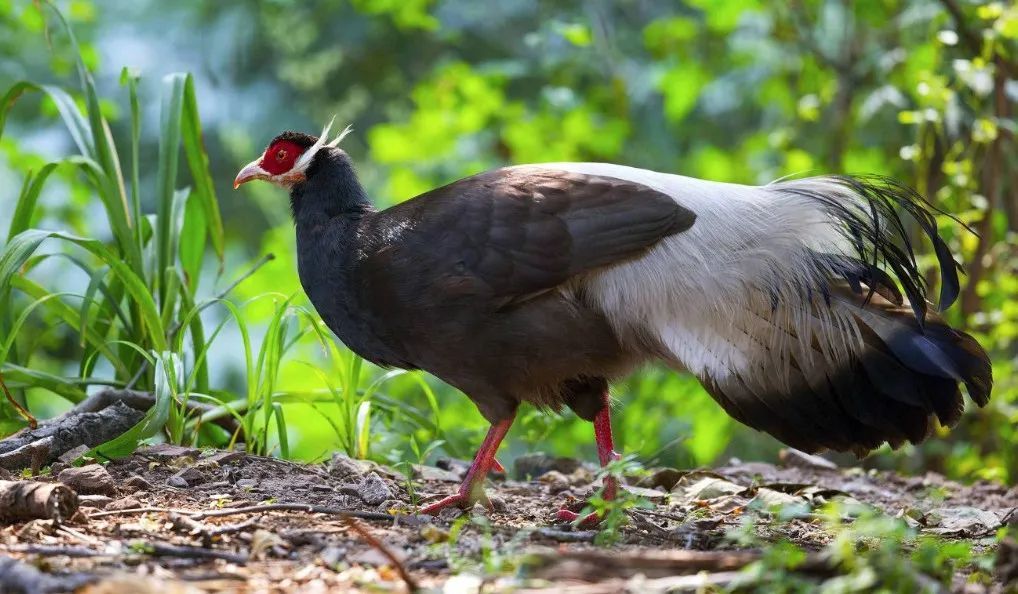山西交城庞泉沟多维度搭建“文旅+教育”融合新平台