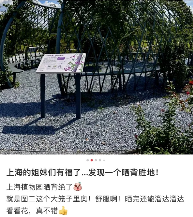 公园晒背被指辣眼睛，如何平衡个人自由与公共秩序的界限？