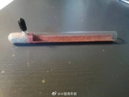 发现新物种的他抽屉藏过数万蚂蚁