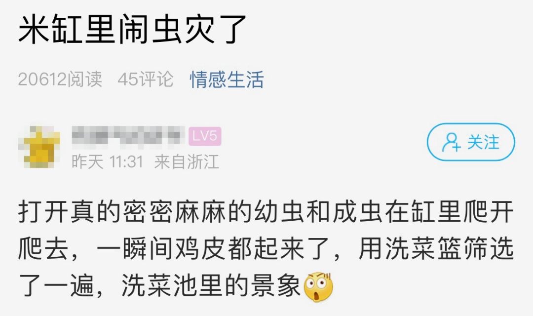 密密麻麻！最近杭州有多少人家里也出现了？