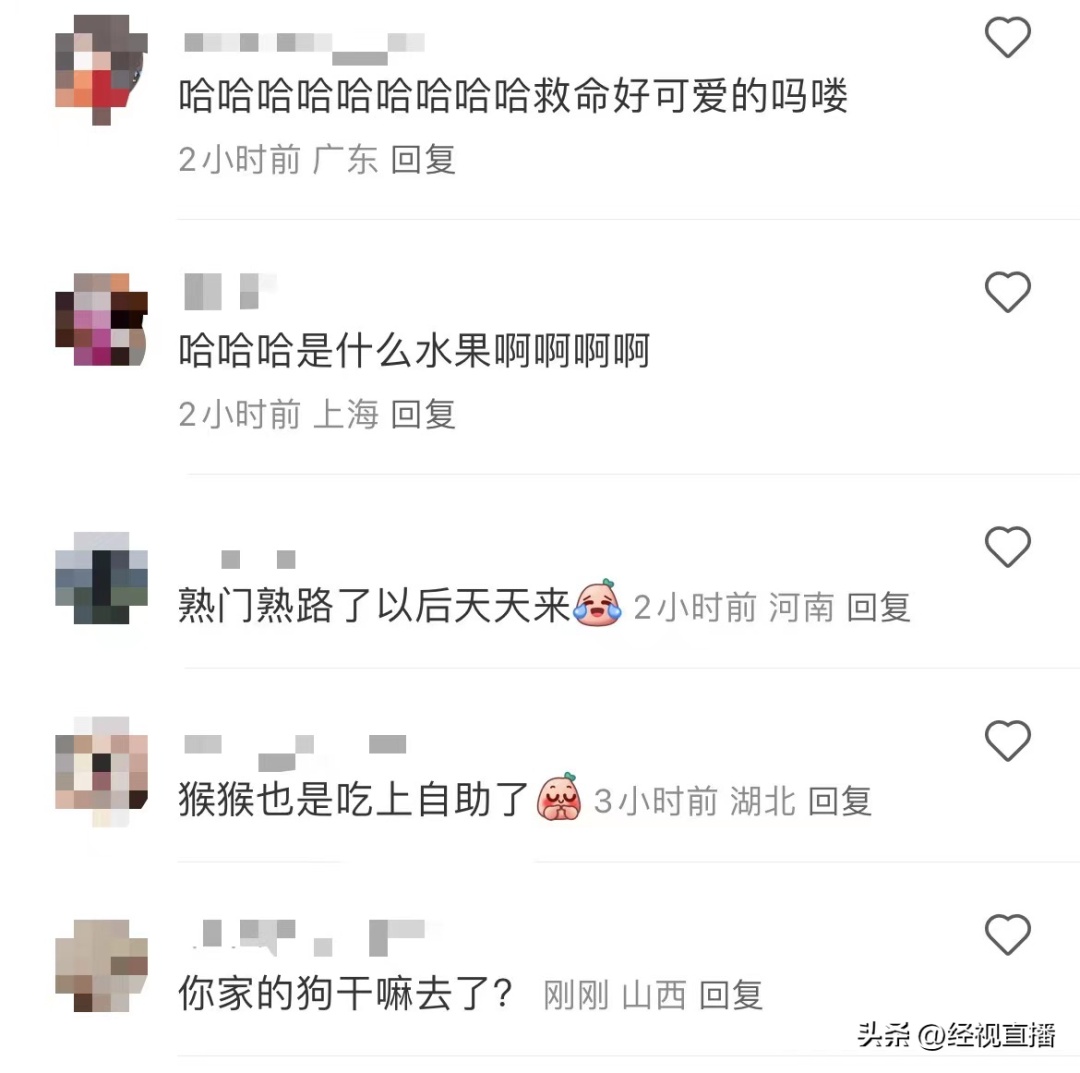 连吃带拿！一地野生猕猴多次进市民家中，当地林业局紧急提醒