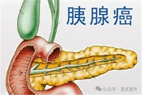 为什么病房里有这么多小黄人？