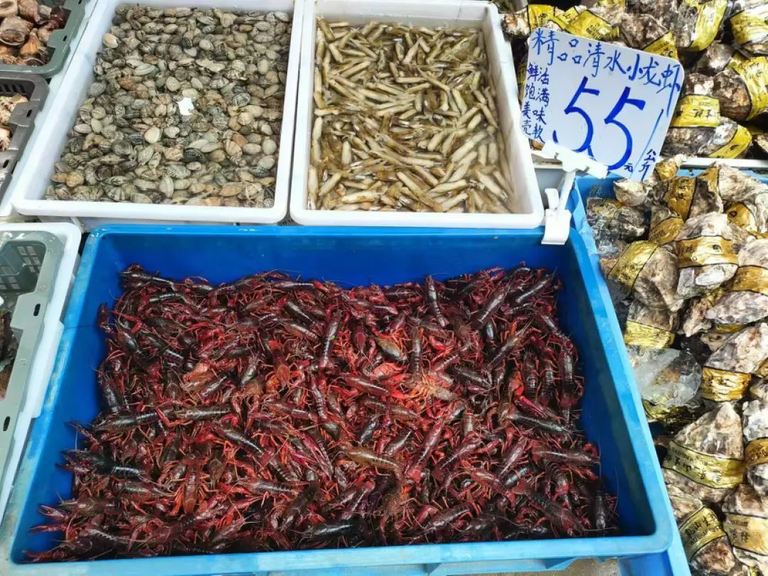 龙虾季即将结束!昆明市场价格上涨…… 龙虾季即将结束!昆明市场价格上涨……