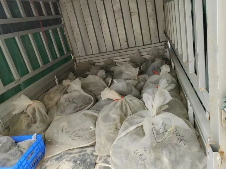 捕蛇、买卖、食用都算违法！警方提醒