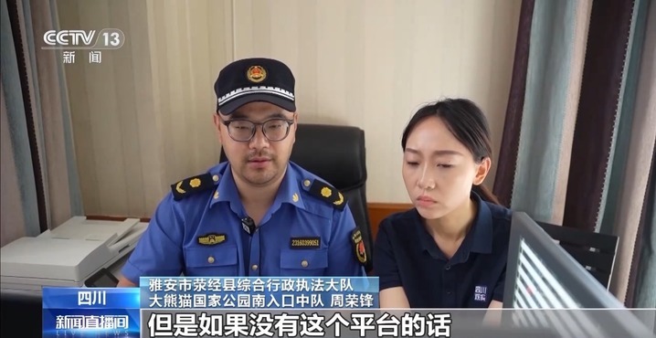 我国大熊猫种群数量稳定增加 “熊丁兴旺”的背后原因有哪些