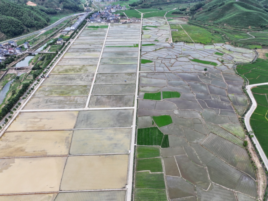 持续强降水之下,哪些行业更易受冲击? 持续强降水之下,哪些行业更易受冲击?