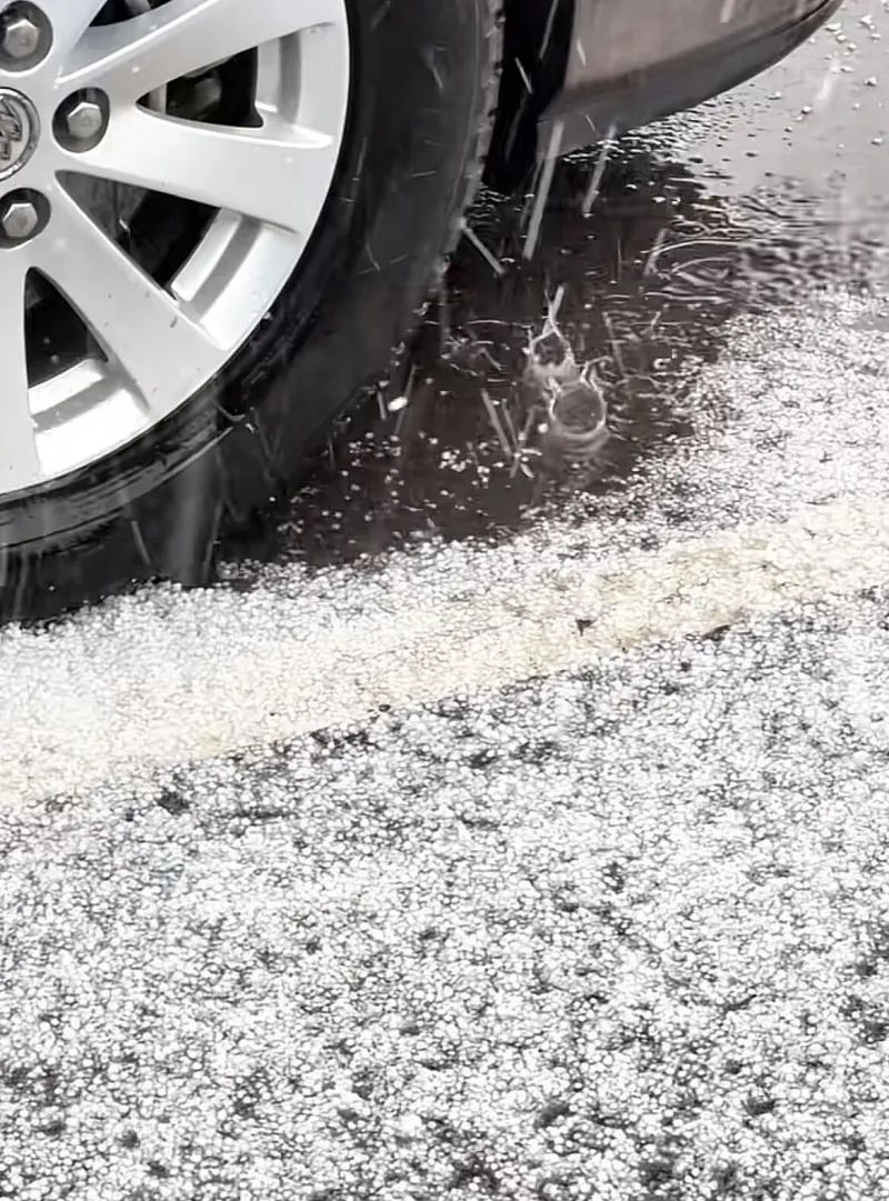 独库公路又双叒叕下雪了！这回下得还真大~