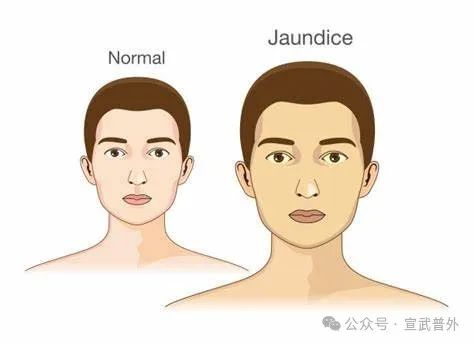 为什么病房里有这么多小黄人？