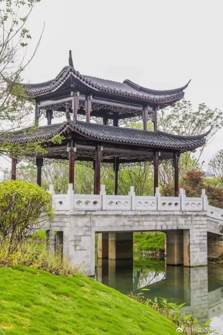 6人遇难！凉亭为何遭雷击？伤亡为何这么大？