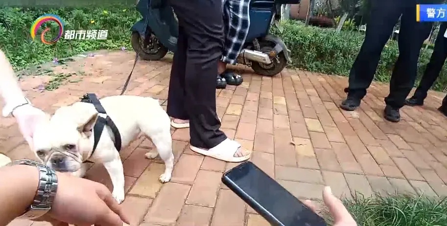 两位主人争一只宠物犬，民警灵机一动......