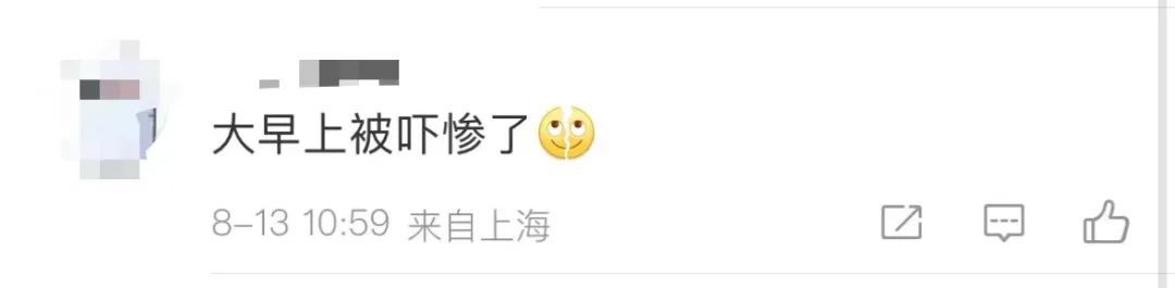 “大早上吓惨了”？早高峰1号线有乘客集体下车，上海地铁通报详情→