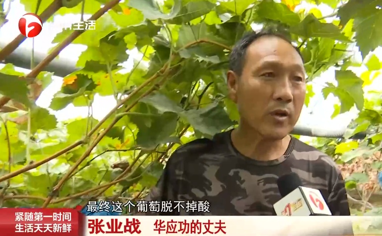 蚌埠一村民家大量葡萄树被人锯断!警方回应 蚌埠一村民家大量葡萄树被人锯断!警方回应