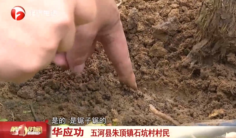 蚌埠一村民家大量葡萄树被人锯断!警方回应 蚌埠一村民家大量葡萄树被人锯断!警方回应