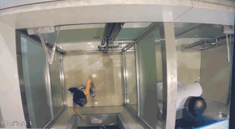 女童走丢，竟这样自救！网友：机智！