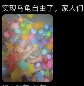 太上头！赛前硬控全红婵几小时的它爆火，有人买了“祖孙四代”！注意了