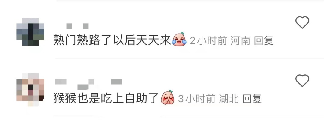 此地多户居民家中被“入侵”！还连吃带拿？当地紧急提醒→