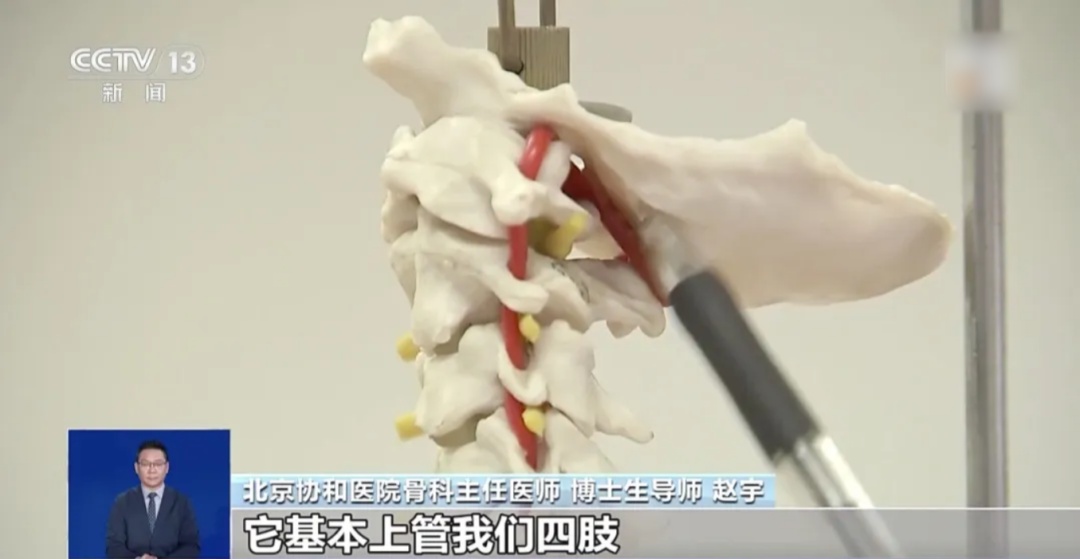 “吊脖子”治颈椎病？医生提醒：这几类人要慎重→
