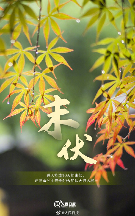 今日末伏,三伏天快过去了 今日末伏,三伏天快过去了
