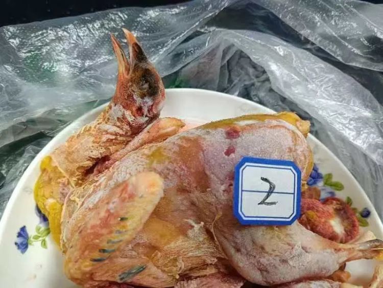 嘴馋惹祸!彭州一男子非法狩猎被抓 嘴馋惹祸!彭州一男子非法狩猎被抓