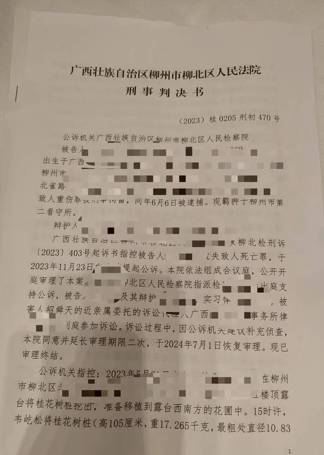 “天降树桩致人身亡案”宣判：被告人被判过失致人死亡罪，获刑6年