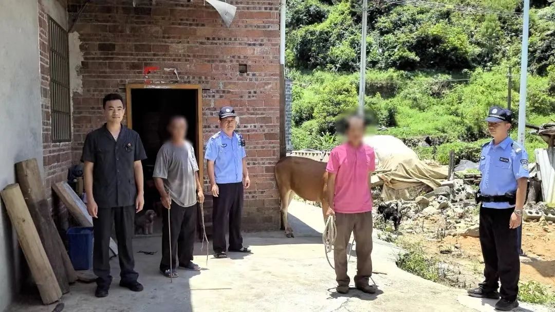 是不是听错了？给牛做亲子鉴定……