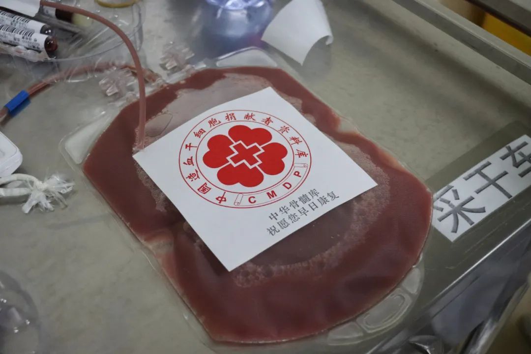 “为别人送去生命延续的机会”,监狱医院这位护士的心愿实现了 “为别人送去生命延续的机会”,监狱医院这位护士的心愿实现了