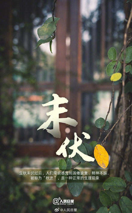 今日末伏,三伏天快过去了 今日末伏,三伏天快过去了