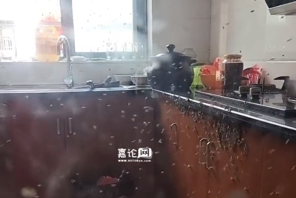 已进入活跃期,严重可致死!有派出所紧急求助119:快来… 已进入活跃期,严重可致死!有派出所紧急求助119:快来…