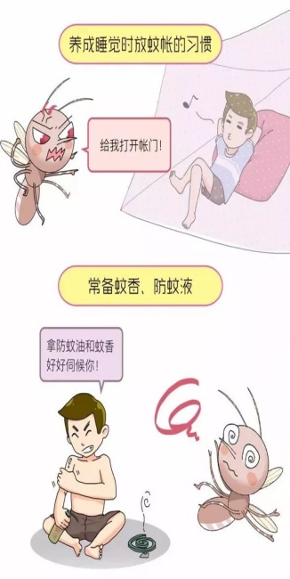 关于“花蚊子”，你了解它吗？