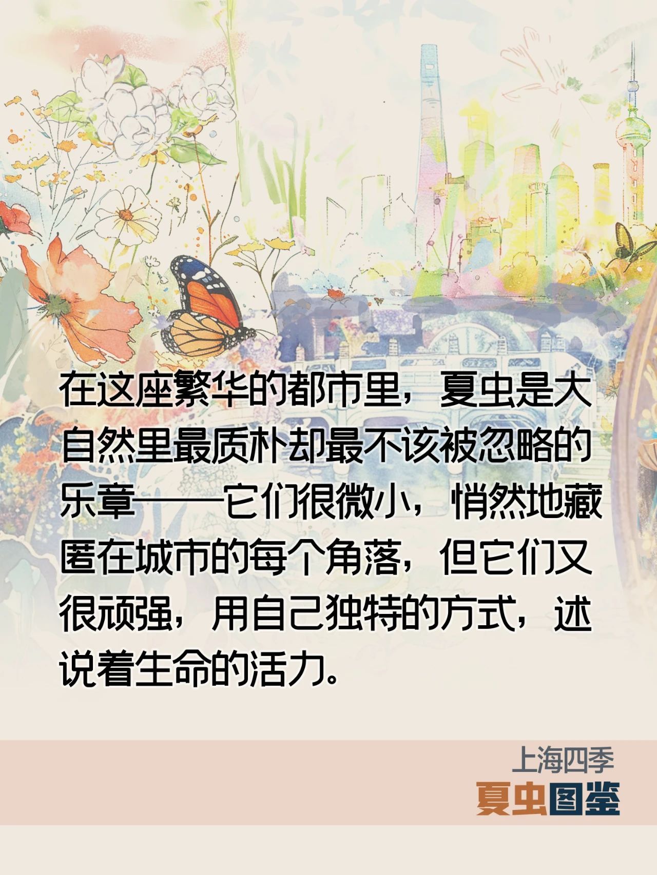 上海的夏季，谁是“虫中歌王”？