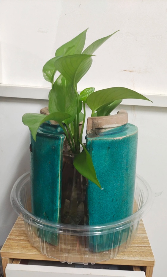 武汉大学紧急提醒：不能捡！有安全隐患