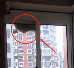 已进入活跃期,严重可致死!有派出所紧急求助119:快来… 已进入活跃期,严重可致死!有派出所紧急求助119:快来…