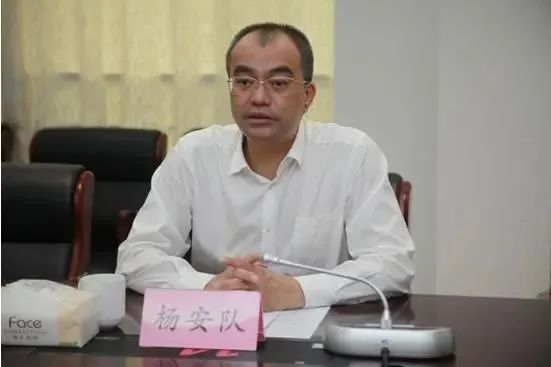 广东三位厅官，同日被查处