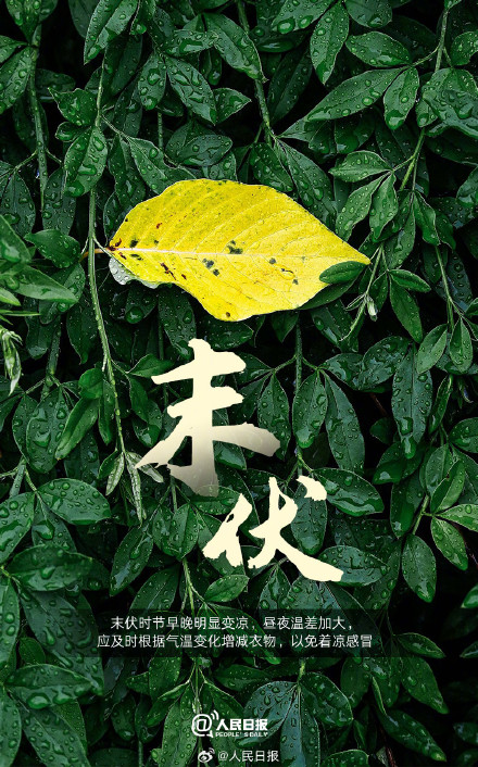 今日末伏,三伏天快过去了 今日末伏,三伏天快过去了