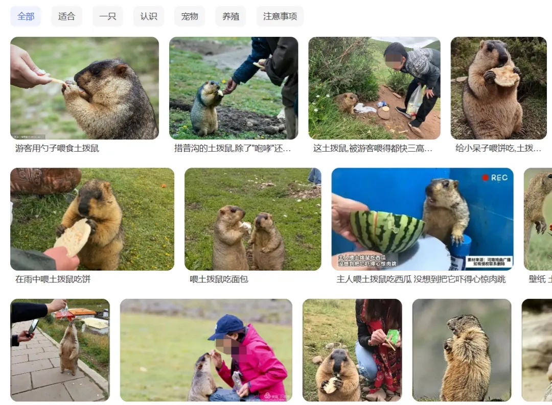 暗藏巨大风险,请远离~ 暗藏巨大风险,请远离~