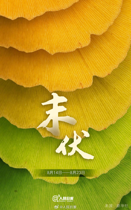 今日末伏,三伏天快过去了 今日末伏,三伏天快过去了